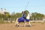 060813_fiesta_medieval_64.jpg