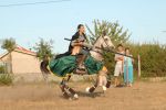 060813_fiesta_medieval_69.jpg