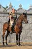 060813_fiesta_medieval_73.jpg