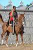 060813_fiesta_medieval_74.jpg