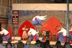070810_jornadas_floclore_02.jpg