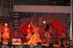 070810_jornadas_floclore_09.jpg