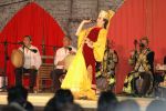 070810_jornadas_floclore_22.jpg