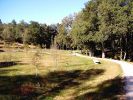 0509-paseo1.jpg