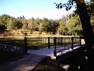 0509-paseo2.jpg