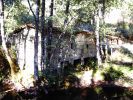 0509-paseo5.jpg