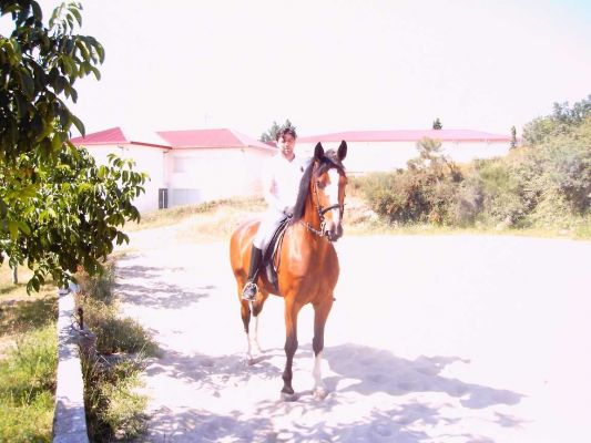 Pulsa aqui para ver la imagen a tama�o completo
 ============== 
H�pica de Maceda 01
Iv�n Alonso con Bumi.
Foto: Alberto O.Q. 080706
