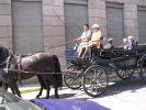 060429_Bodas_Oro_Milo_09.JPG