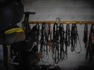 060708_Hipica_Maceda_07.JPG
