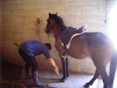 060708_Hipica_Maceda_09.JPG