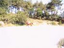 060708_Hipica_Maceda_13.JPG
