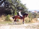 060708_Hipica_Maceda_24.JPG
