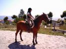 060708_Hipica_Maceda_25.JPG