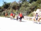 060708_Hipica_Maceda_29.JPG