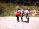 060708_Hipica_Maceda_32.JPG