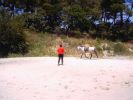 060708_Hipica_Maceda_35.JPG