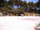 060708_Hipica_Maceda_46.JPG