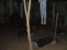 060826_Noites_do_Terror_40.JPG