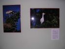 061008_Exposici�n_Fauna_03.JPG