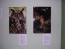 061008_Exposici�n_Fauna_06.JPG