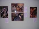 061008_Exposici�n_Fauna_08.JPG