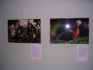 061008_Exposici�n_Fauna_10.JPG