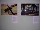061008_Exposici�n_Fauna_14.JPG