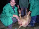 061025_Matanza_del_cerdo_06.JPG