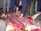 061026_Deshecha_del_cerdo_04.JPG