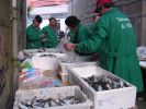 070623_Sardi�ada_06.JPG