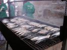 070623_Sardi�ada_11.JPG