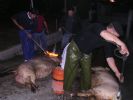 071025_II_Fiesta_Matanza_03.JPG