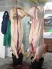 071025_II_Fiesta_Matanza_05.JPG