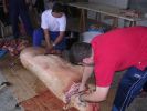 071026_Zorza_Matanza_01.JPG