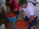 071026_Zorza_Matanza_10.JPG