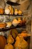 080227_Casa_Rosa_04.jpg