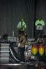 080811_Fiestas_Lunes_26.jpg