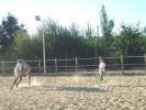 080828_C.E.Villa_Paderne_17.JPG