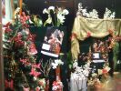 Navidad 2008-2009