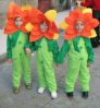 090224_Desfile_Carnaval_11.jpg