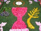 180606_Figueiro�-Paderne_de_Allariz_07.JPG