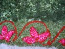 180606_Procesi�n_de_Corpus_Christi_04.JPG