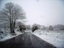 DSC_0588.JPG
