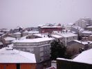 DSC_0599.JPG
