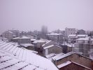 DSC_0602.JPG